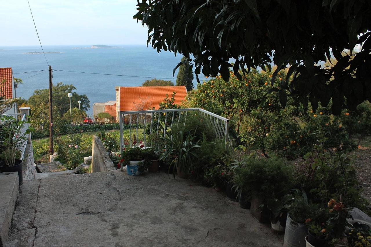 Apartments With A Parking Space Plat, Dubrovnik - 4776 Mlini Exterior photo
